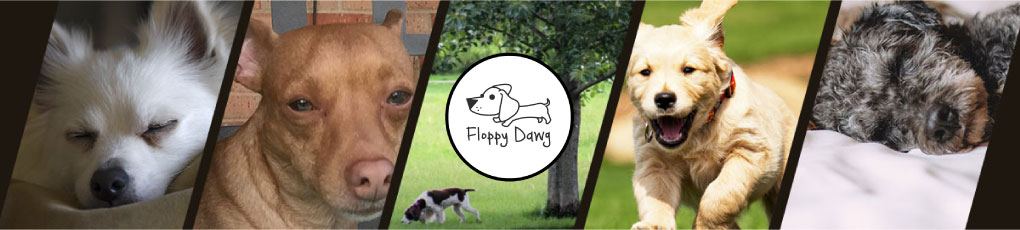 Floppy Dawg